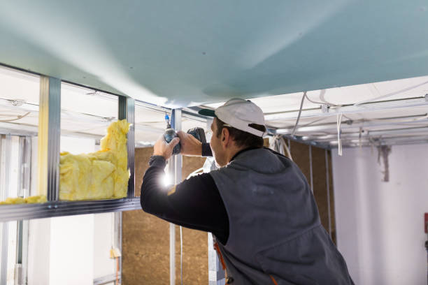 Best Crawl Space Insulation  in Hebbronville, TX