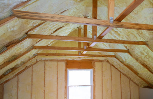 Best Crawl Space Insulation  in Hebbronville, TX