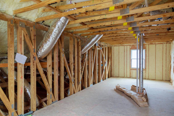 Best Professional Insulation Contractor  in Hebbronville, TX