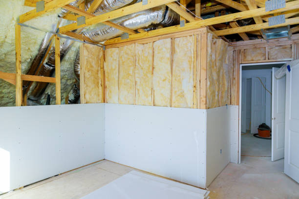 Best Best Insulation Companies  in Hebbronville, TX