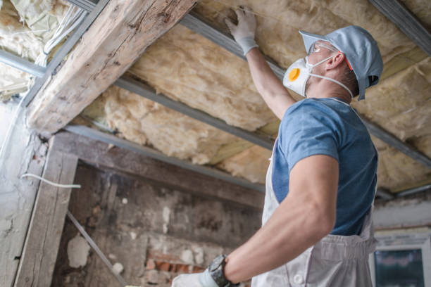 Reliable Hebbronville, TX Insulation Contractor Solutions