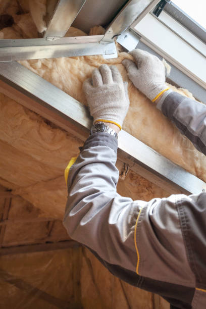 Best Insulation Contractors for Homes  in Hebbronville, TX