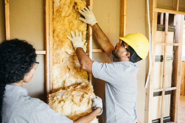 Best Spray Foam Insulation  in Hebbronville, TX