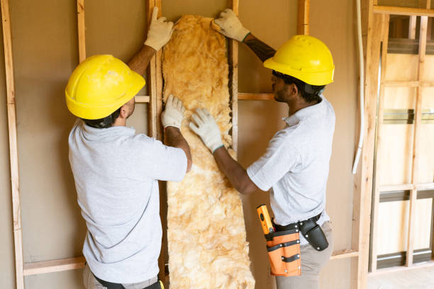 Best Insulation Inspection Services  in Hebbronville, TX