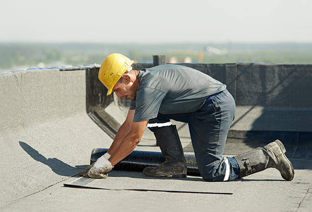 Best Attic Insulation Installation  in Hebbronville, TX