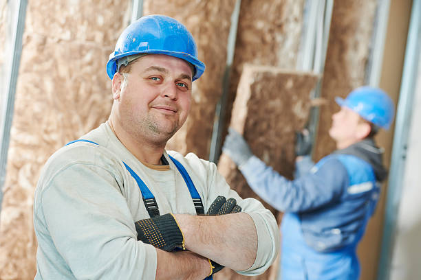 Best Wall Insulation Contractor  in Hebbronville, TX