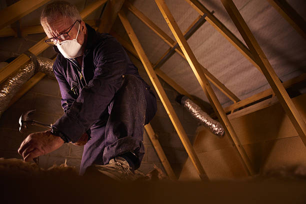 Best Attic Insulation Installation  in Hebbronville, TX