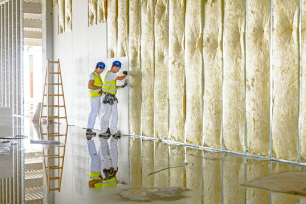 Soundproof Insulation Installation in Hebbronville, TX